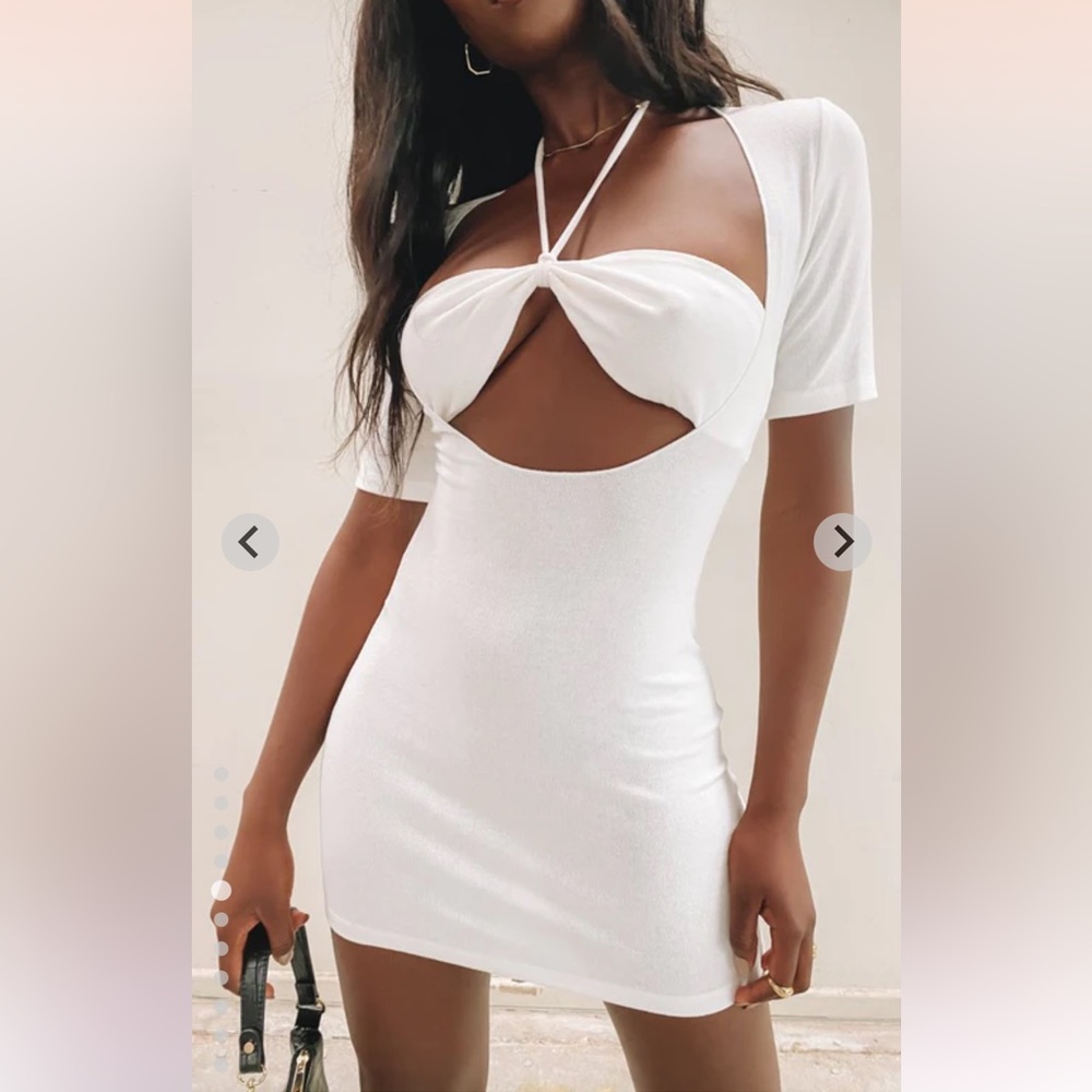 ✨SOLD✨Lioness mini dress